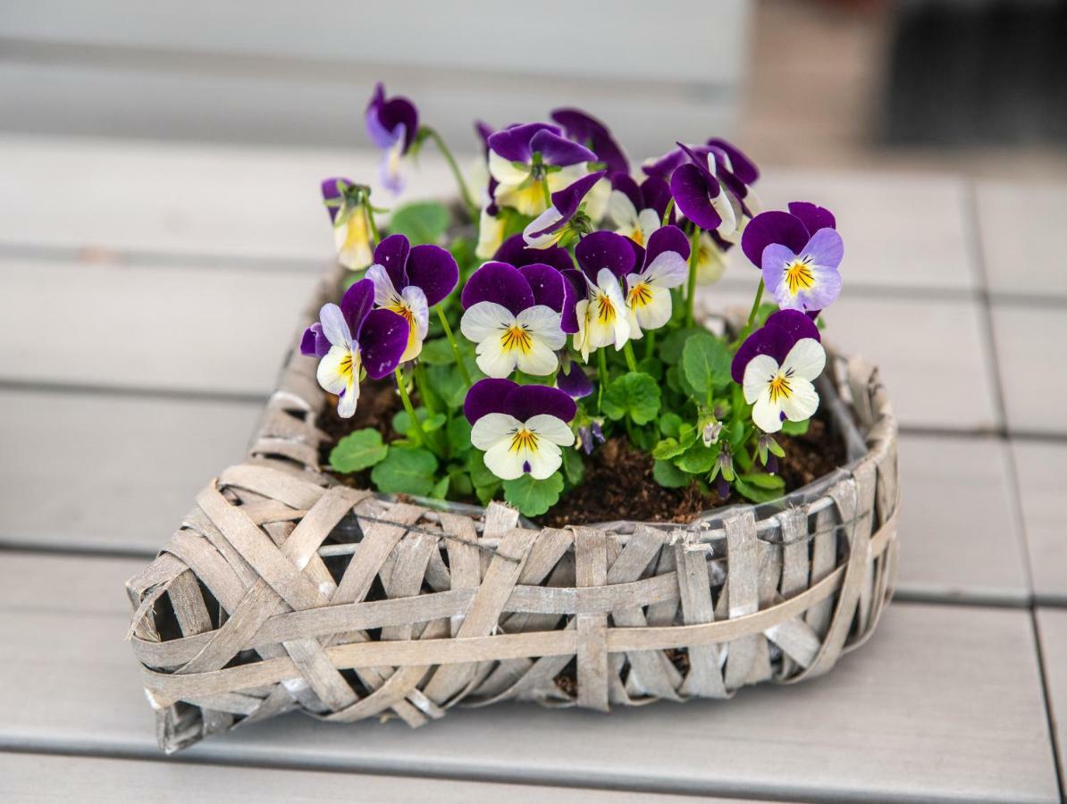 Sandmoen Bed & Breakfast, Free Parking Trondheim Exterior foto